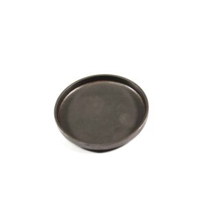 Plug Camshaft for CUMMINS N14 & 855 Cup Replaces # 3011952