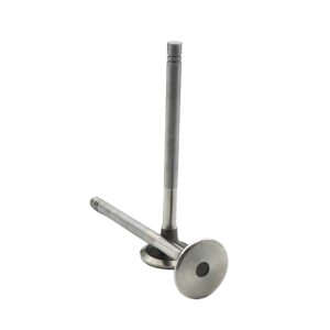 Exhaust Valve for CUMMINS 855 Replaces # 3040830