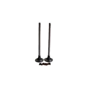 Exhaust Valve Kit for CUMMINS N14 (Includes Valve & Collets) Current Replaces # 3803726