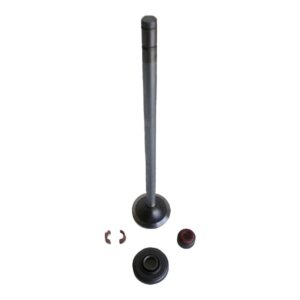 Intake Valve Kit for DETROIT DIESEL Series 60 (Includes Rotator Locks & Seal) Replaces # 23501576