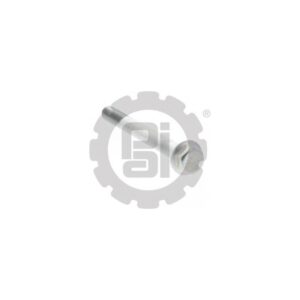 Screw for MACK  Replaces # 27AM12 (M10 x 1.5 x 100) (Flanged Hex Head) (CH/CL Models)