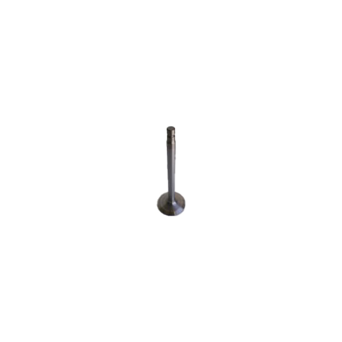Intake Valve for MACK E6 Replaces # 690GC2193 2VH (Narrow Lock) (Long Life) (Polished)