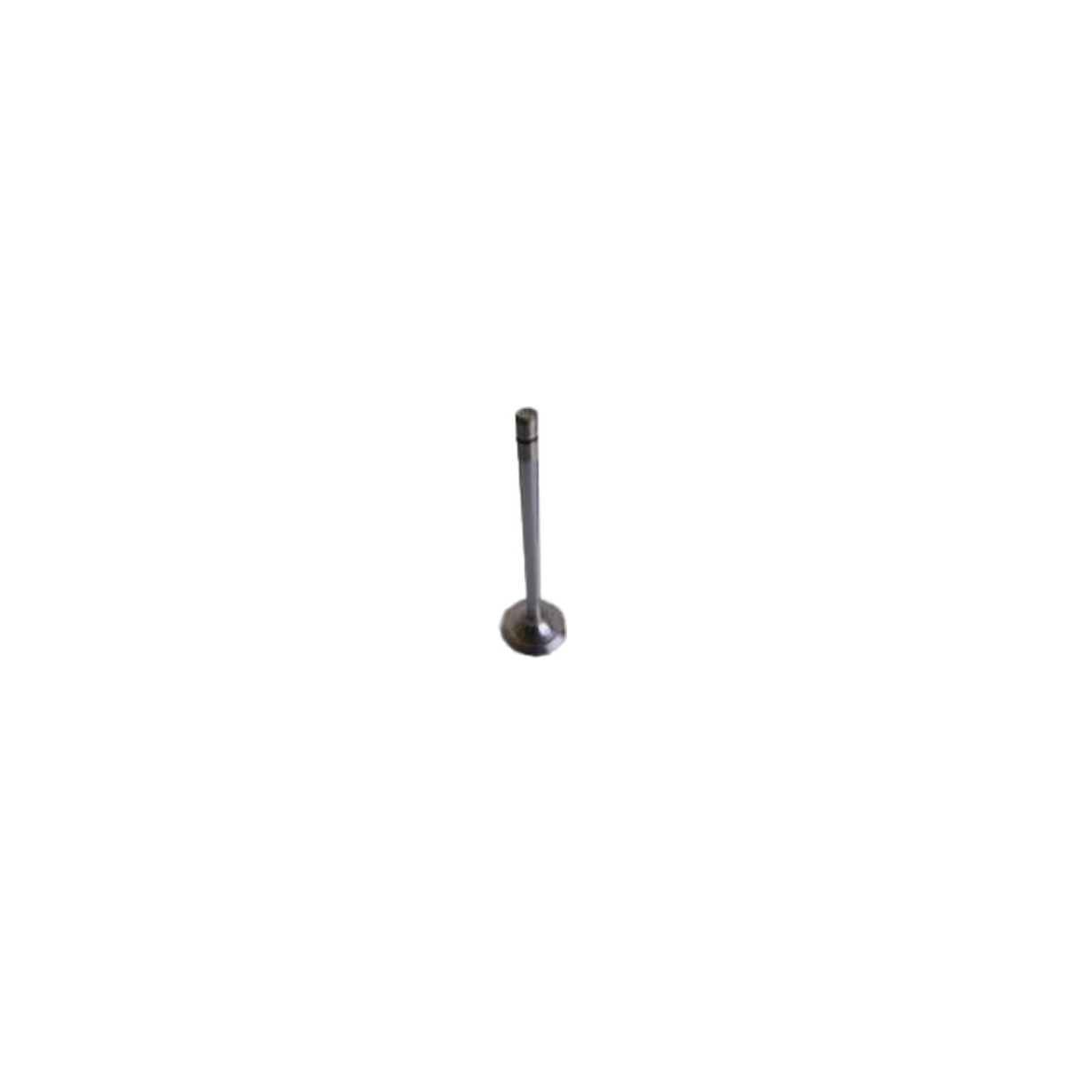 Intake Valve for MACK E7 Replaces # 690GC2210 (3/8in Stem) (6 Rq'd for Cylinder Head)