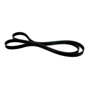 Serpentine Belt (1 piece) 79-1/2in Fan Alternator & A/C for MACK  Replaces # 88GB459P795